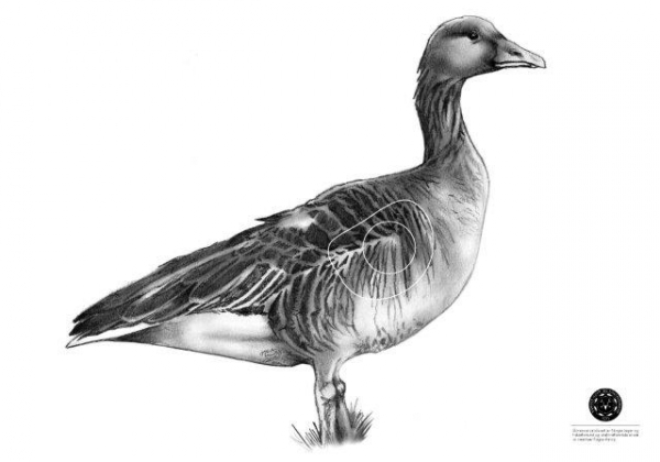 201254 1
